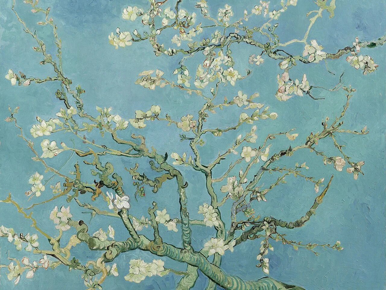 Almond Blossoms