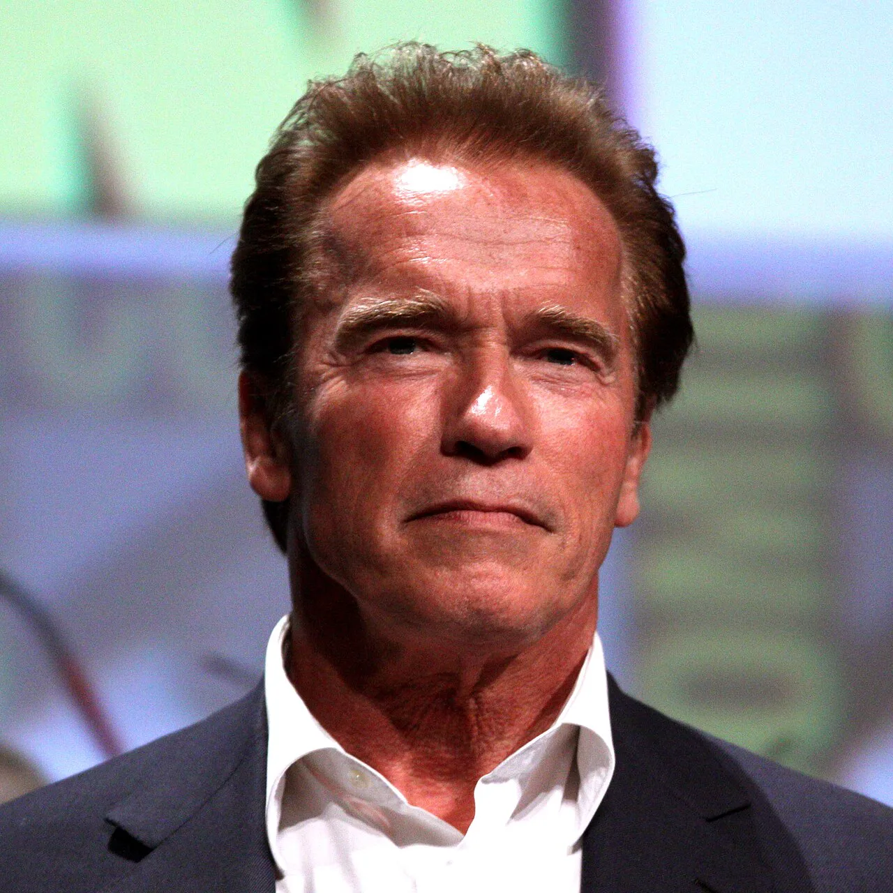 Arnold Schwarzenegger - puzzle de 49 pièces | Celebrities