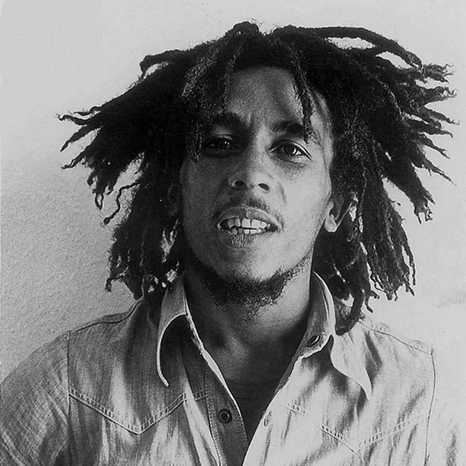 Bob Marley - rompecabezas de 49 piezas