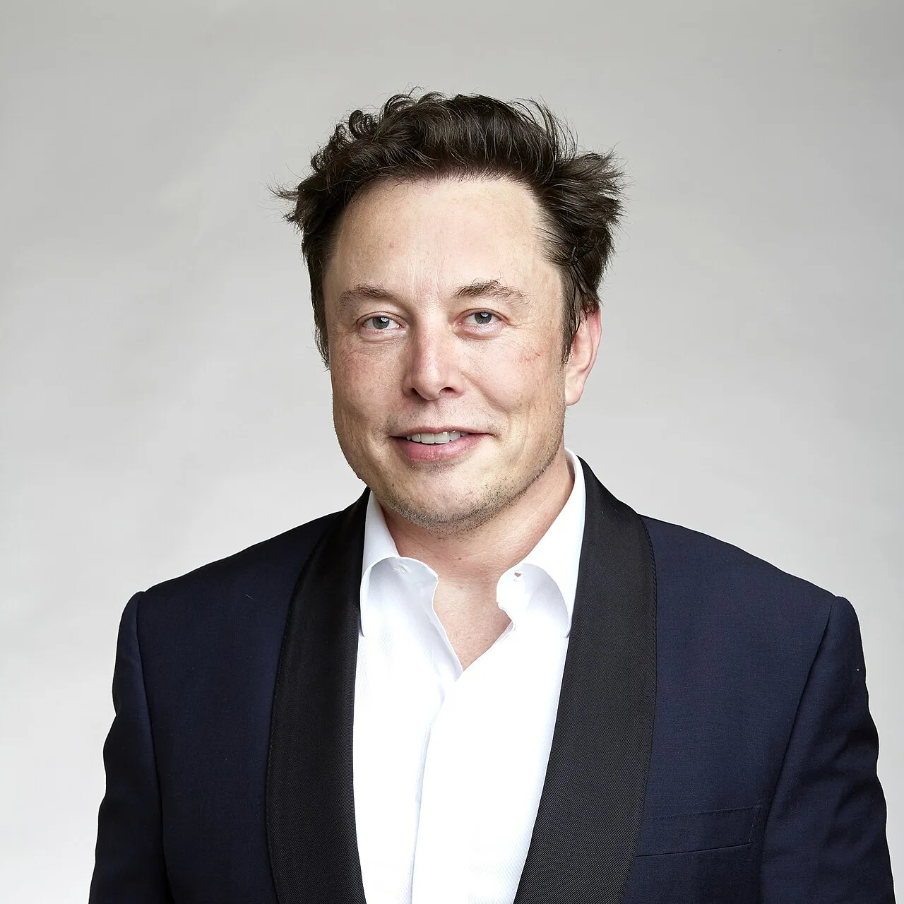 Elon Musk - 49 brikkers puslespil