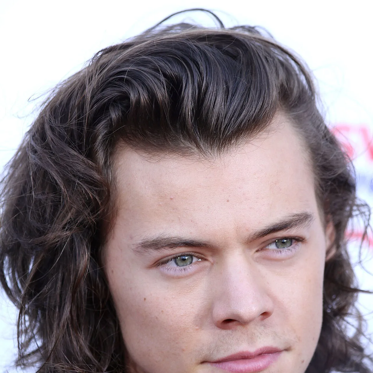 Harry Styles - puzzle de 49 pièces
