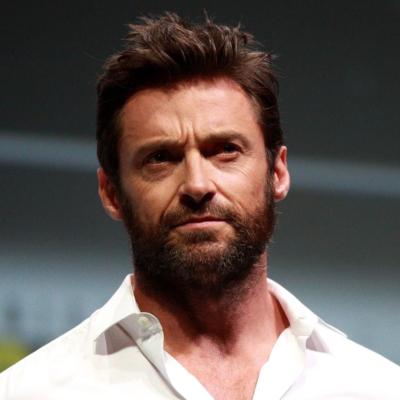 Hugh Jackman - 49 Teile Puzzle