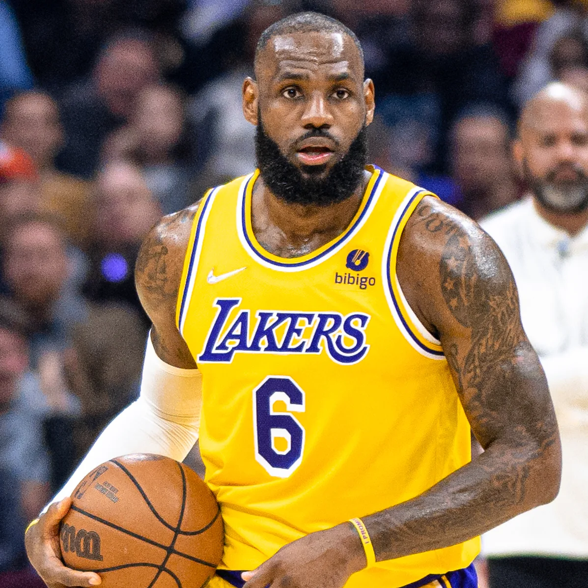 LeBron James - puzzle de 49 pièces