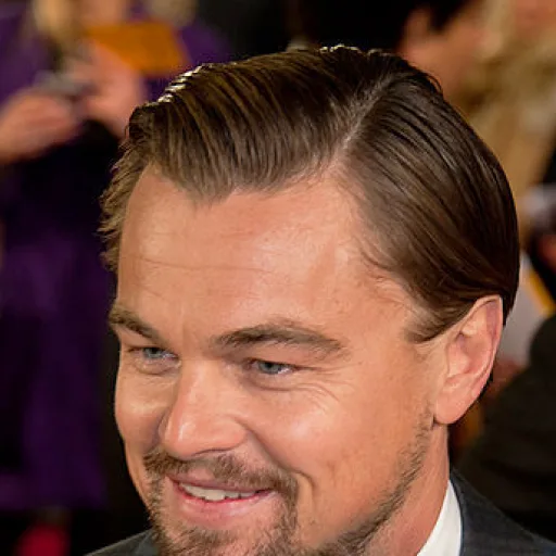 Leonardo DiCaprio - 49 piece jigsaw puzzle | Celebrities