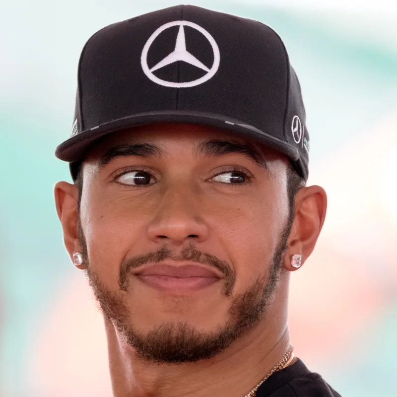 Lewis Hamilton - 49 brikkers puslespil