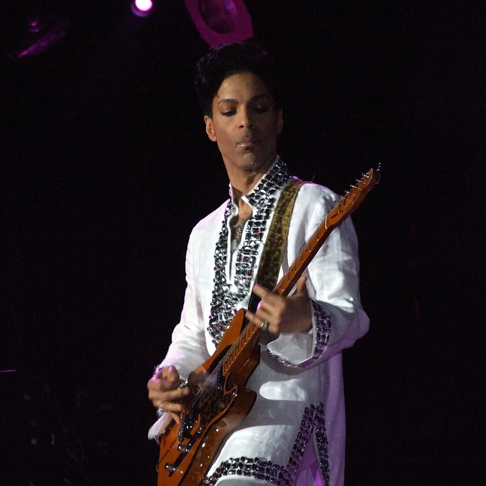Prince - puzzle de 49 pièces