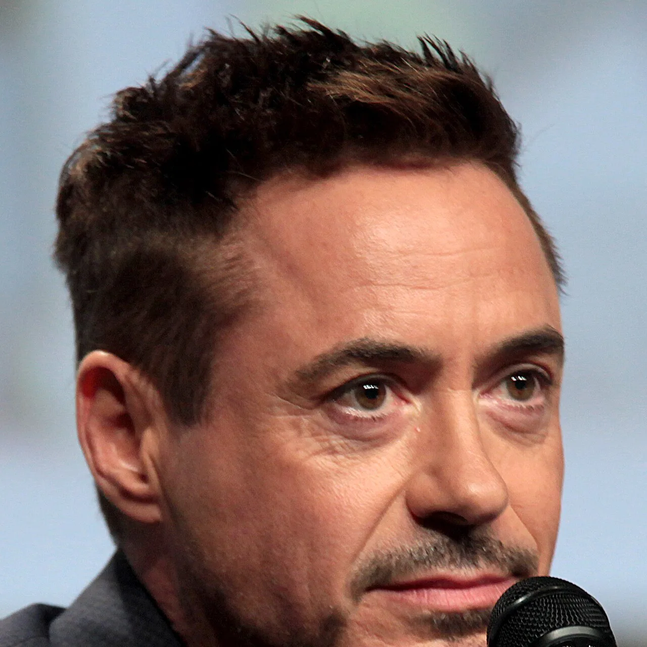 Robert Downey Jr. - rompecabezas de 49 piezas