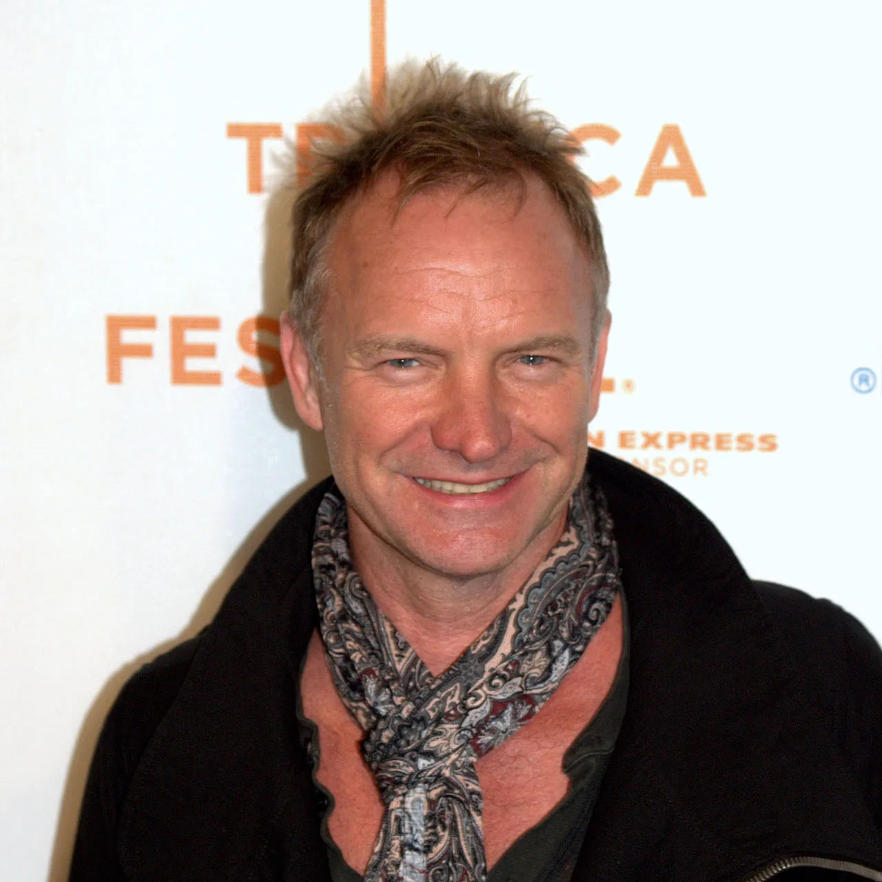 Sting - 49 piece jigsaw puzzle | Celebrities