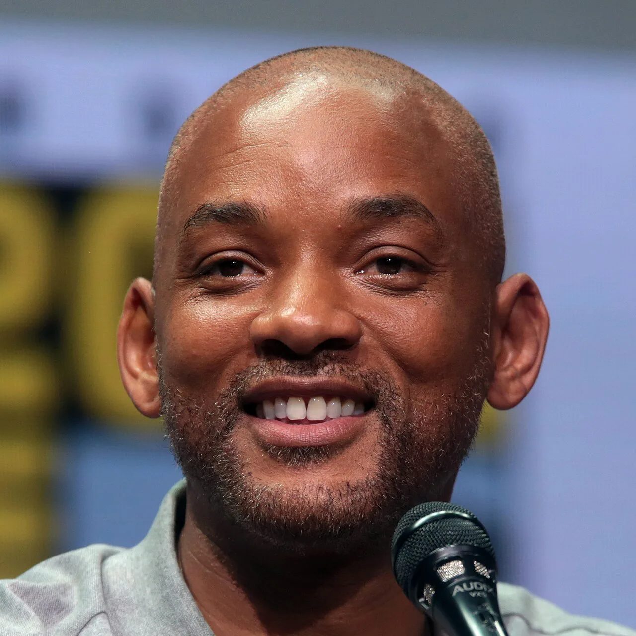 Will Smith - rompecabezas de 49 piezas
