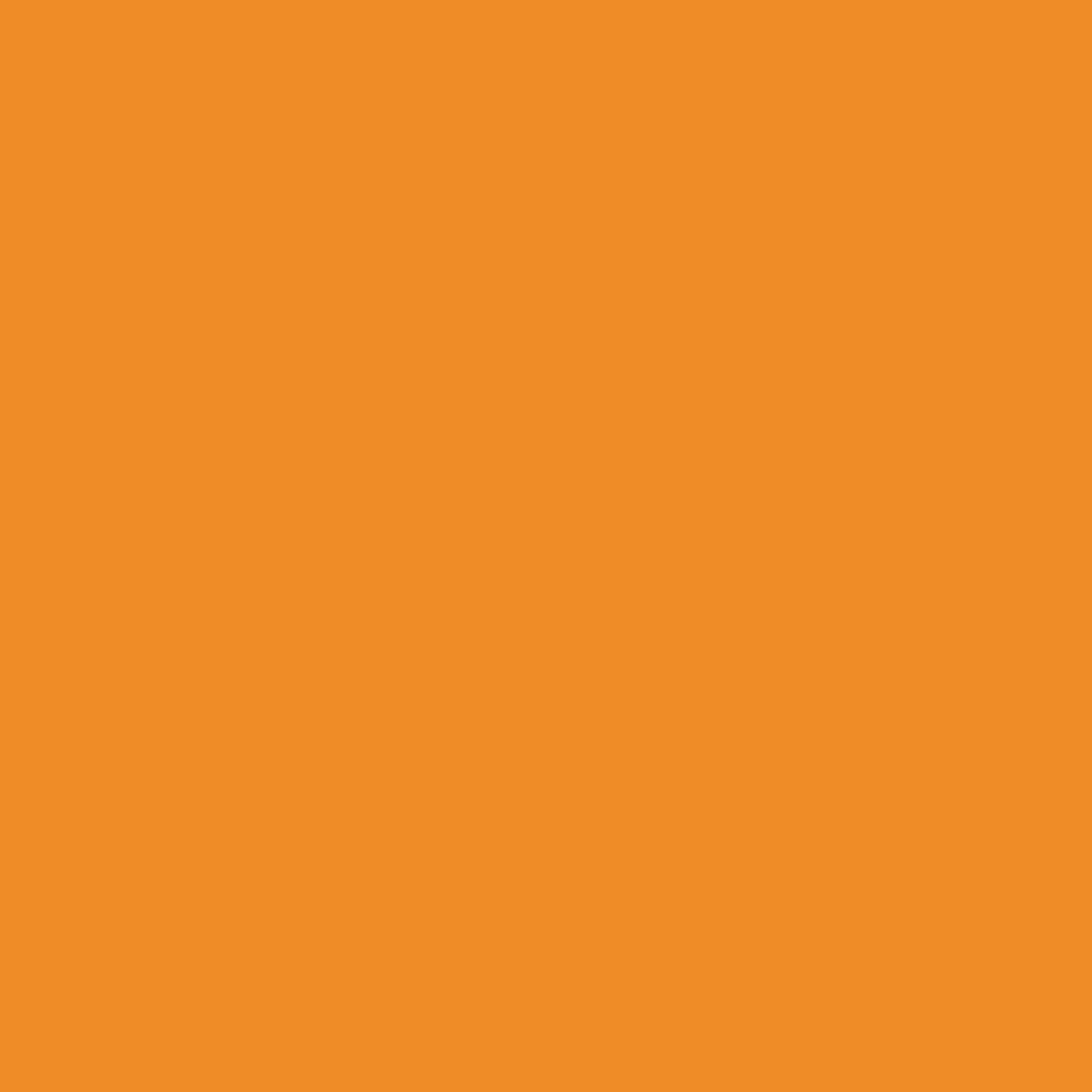 All Orange - 500 piece jigsaw puzzle | Challenge
