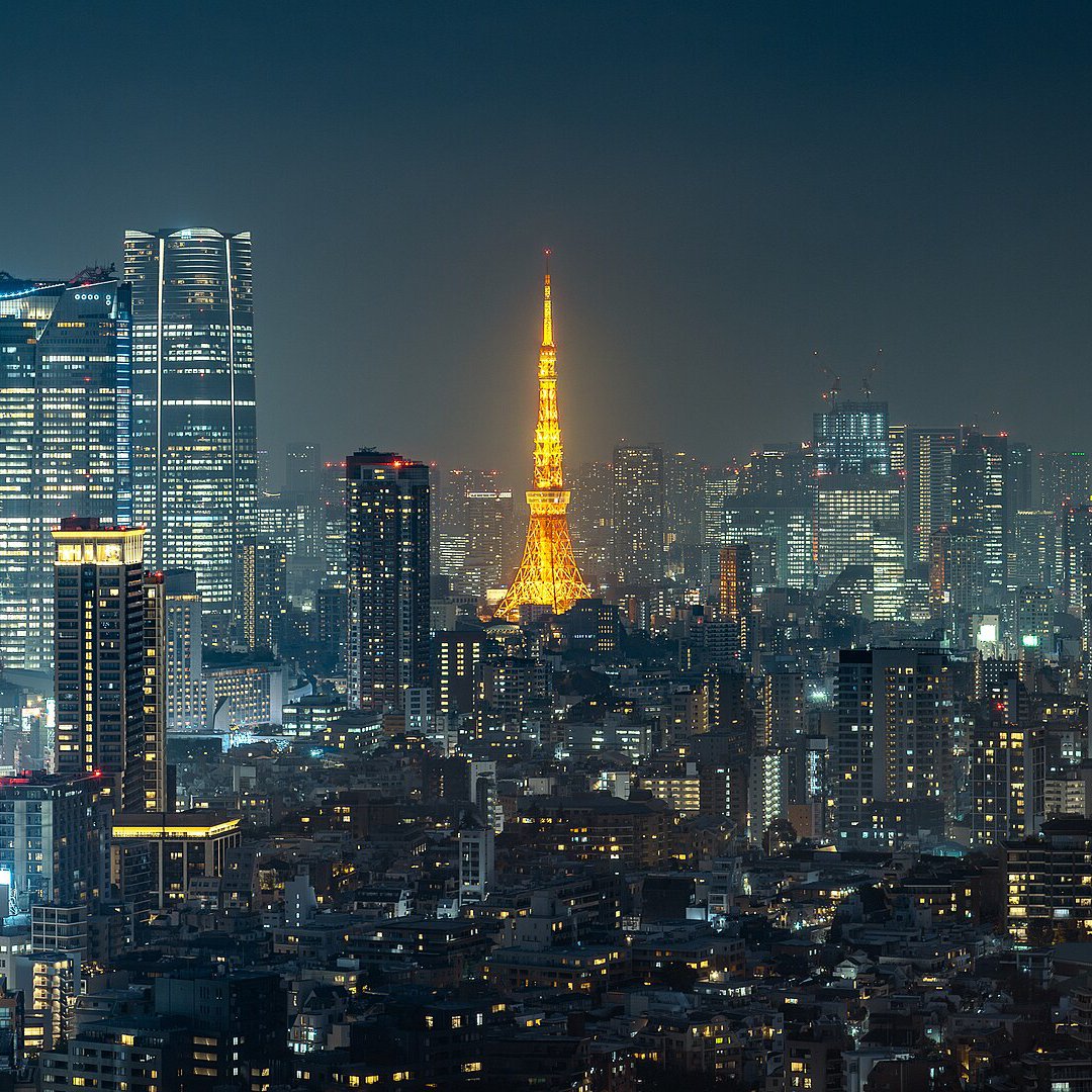 Tokyo at Night - 25 piece jigsaw puzzle | Cities