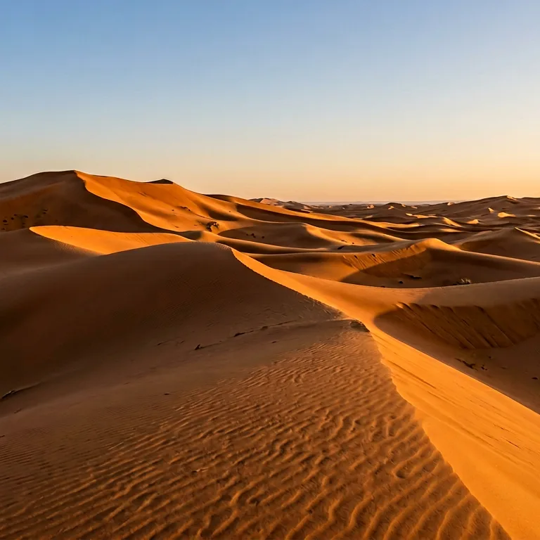 Sahara Desert